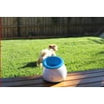 thumbnail image 3 of iFetch Lanceur de balle automatique pour chiens, 3 of 5