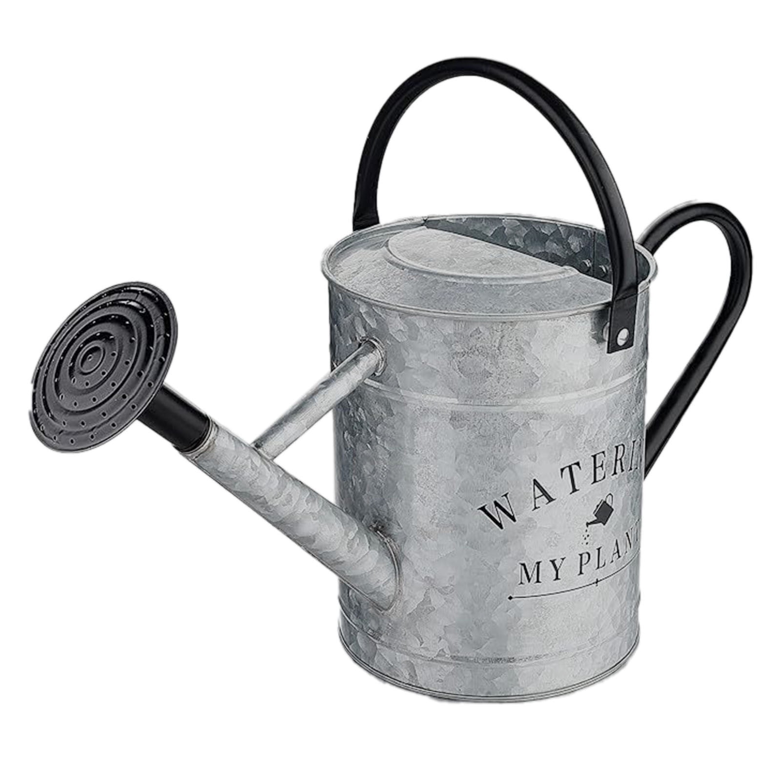 Metal Watering Can 4L Garden Watering Pot With Removable Spout Water Can For Indoor Outdoor Farm Flower Vegetable， With Detachable Sprinkler Head 1 Gallon 4 Liter 33X43X16Cm Utility