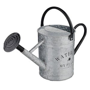 Metal Watering Can 4L Garden Watering Pot With Removable Spout Water Can For Indoor Outdoor Farm Flower Vegetable， With Detachable Sprinkler Head 1 Gallon 4 Liter 33X43X16Cm Utility