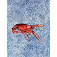 thumbnail image 1 of 11 x 15 in. Crawfish Flag Garden Size, 1 of 1