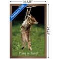 thumbnail image 3 of Célèbre chaton accroché là-bas Poster, 3 of 5