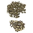 thumbnail image 1 of yuksok Double Embouts Premium Rivets pour Sacs à Main et Chaussures 6x8mm Or Antique, Bronze, 4 Pcs, 1 of 9