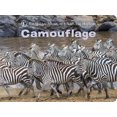 thumbnail image 2 of Camouflage (Musée Américain d'Histoire Naturelle), 2 of 3