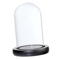 thumbnail image 1 of simhoa Cloche en Verre pour Plantes et Fleurs avec Base Noire, 1 of 3