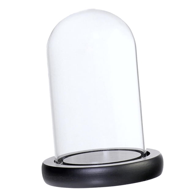 simhoa Cloche en Verre pour Plantes et Fleurs avec Base Noire