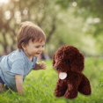 thumbnail image 1 of Follure Simulation Teddy Dog Plush Toy Puppy Doll Children Gift, 1 of 4