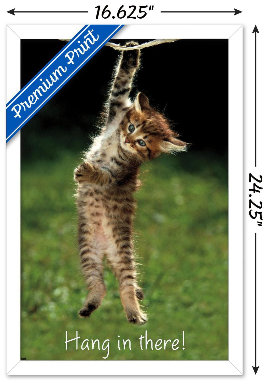 Famous Kitten Hang There Poster Wall Poster