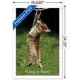thumbnail image 3 of Famous Kitten Hang In There Poster Wall Poster, 22.375" x 34", 3 of 5
