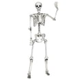 thumbnail image 2 of Costway 5.4ft Halloween Skeleton Life Size Realistic Full Body Hanging w/ Movable Joints, 2 of 10