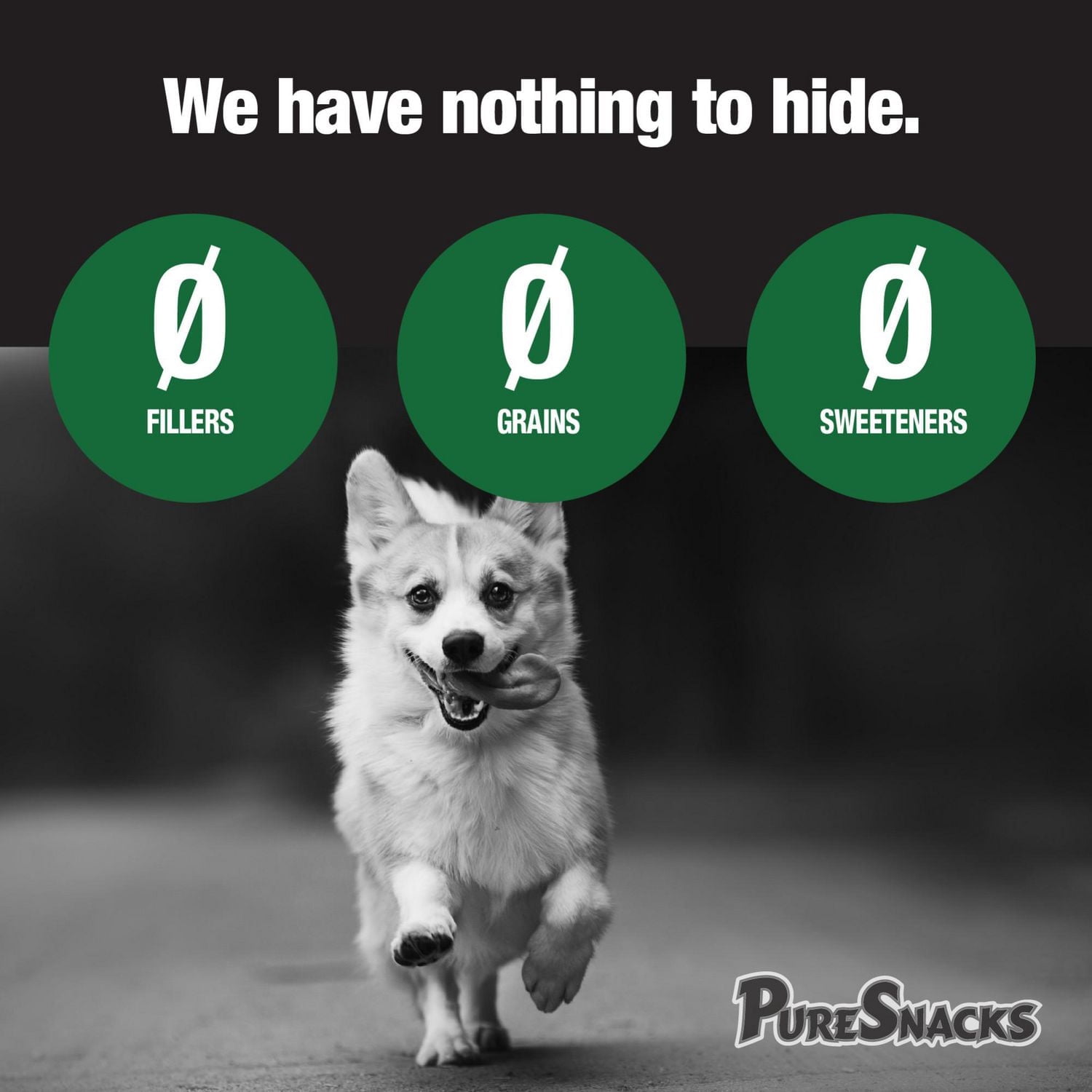 PureSnacks gâteries séchées à froid de foie de boeuf pour chien