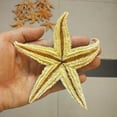 thumbnail image 3 of 2Pcs Dried Starfish Sea Star Beach Craft Wedding Party Home Decoration, 3 of 8