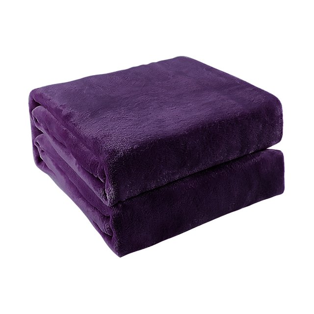 Unique Bargains Couverture Jetée en Molleton Microplush Douce pour Lit Simple/double/grand Lit