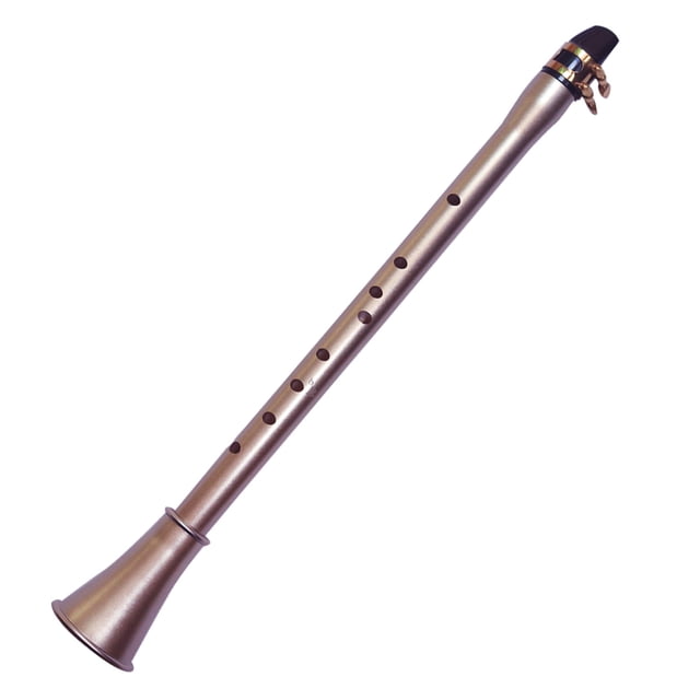 Pocket Saxophone ABS Sax Mini Portable Saxophone Little Saxophone With Carrying Bag Woodwind Instrument