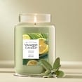 thumbnail image 3 of Yankee Candle Scented Candle, Sage & Citrus, 22 oz Original Large Jar, 3 of 8