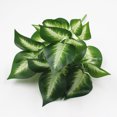 thumbnail image 4 of Coofit Artificial Plant Lifelike Decorative Fake Leaf Fake Plant Artificial Greenery, 4 of 8