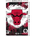 thumbnail image 2 of NBA Chicago Bulls - Logo maximaliste 23, 2 of 4
