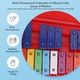 thumbnail image 4 of Xylophone Coloré, Xylophone pour Enfants 25 Notes pour la Maternelle, 4 of 7