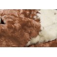 thumbnail image 2 of Luxe Classic Faux Hide Rug | 5.25'x7.5', 2 of 3