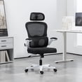 thumbnail image 2 of HOMCOM Ergonomic Office Chair, Mesh Desk Chair with Lumbar Support, Black, 2 of 10