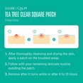 thumbnail image 2 of Soo'AE Patch Carré Clair Arbre À Thé, 2 of 8