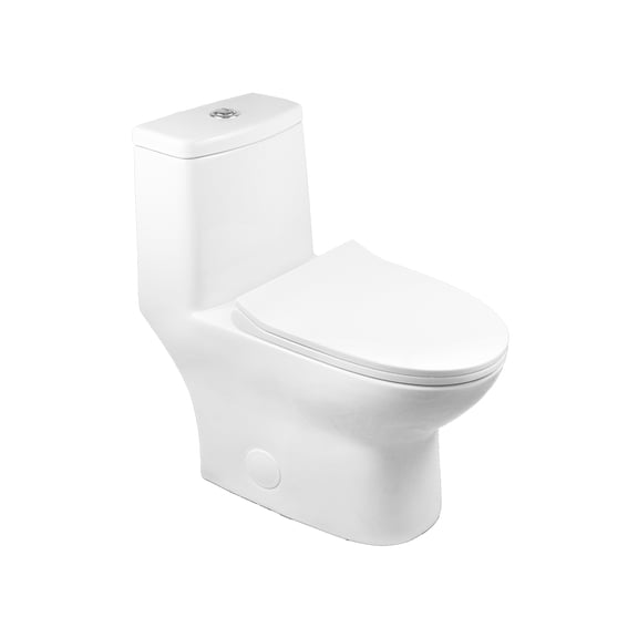A&E Bath and Shower Drovia Toilette monopièce à double chasse avec siphon dissimulé entièrement jupe
