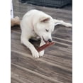 thumbnail image 4 of Bully Bunches 6" Beef Jerky Strips All Natural Fully Digestible Dog Chews 16 Pack, 4 of 5