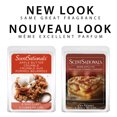 thumbnail image 2 of ScentSationals Scented Wax Cubes - Warm Apple Pie, 2 of 6