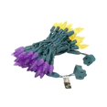 thumbnail image 4 of Novelty Lights 24FT 70 LED C6 LED Christmas Lights, Purple & Yellow, 4 of 8