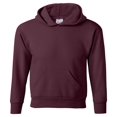 thumbnail image 1 of Hanes Jeunesse Comfortblend Ecosmart Chandail à Capuchon en Molleton, 1 of 1