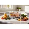 thumbnail image 3 of Chefnificent Food Dehydrator DryPro 400 Machine with 5 Adjustable Trays, Rapid 4 Hour Drying, BPA Free Fruit Dryer for Jerky, Herbs, Mushrooms, Freez, 3 of 8