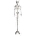 thumbnail image 1 of ZheElen Plastic Skeleton Posable Joints For Unique Halloween Decoration Size For Needs Posable Joints Skeletons 1Set, 1 of 6