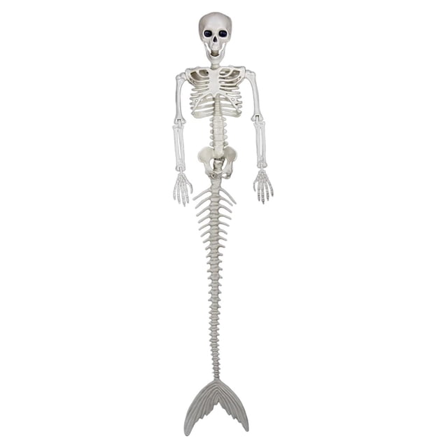 ZheElen Plastic Skeleton Posable Joints For Unique Halloween Decoration Size For Needs Posable Joints Skeletons 1Set