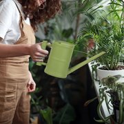 Watering Can, Plastic Watering Kettle, Garden Watering Can, Indoor Watering Can, Outdoor Watering Can, Long Spout Watering Can, Plant Watering Can, 1.6L Watering Can