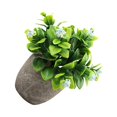 thumbnail image 2 of Decodeary Green Eco-friendly Artificial Money Tree In Pot Long-lasting Durability Realistic Appearance new blue babysbreath 1Set, 2 of 6