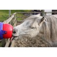 thumbnail image 2 of Talisker Bay Likit Tongue Twister Toy Red Large - 1039, 2 of 5