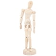 thumbnail image 1 of Table Top Mannequin Synthetic Material For Classroom Use 1Set 8.45x2.16x2.16in, 1 of 8