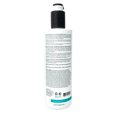 thumbnail image 2 of Dermalogica Active Clearing Skin Wash Active Clearing 16.9 OZ, 2 of 2