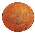 thumbnail image 1 of Tapis de Salon Rond à Grain de Bois pour Enfants, Tapis de Sol pour la Maison, Tapis de Jeu, Tapis de Yoga pour Salon, Rond, Design Rond, 1 of 2