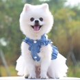 thumbnail image 3 of Chien Robes Mode Chien Vêtements Arc Maille Chiot Chien Princesse Robes, Blanc L, 3 of 11
