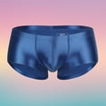 thumbnail image 1 of Men's Underwear Breathable Sheer Shiny Low Rise Briefs for Daily Comfort and All-Season Wear, 1 of 3
