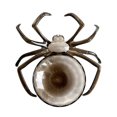 thumbnail image 1 of New Halloween Spider Shaped Bowl Fruit Plate Candy Biscuit Package Basket Bowl, 1 of 4