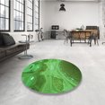 thumbnail image 4 of Ahgly Company Machine Washable Indoor Square Transitional Neon Green Area Rugs, 6' Square, 4 of 7