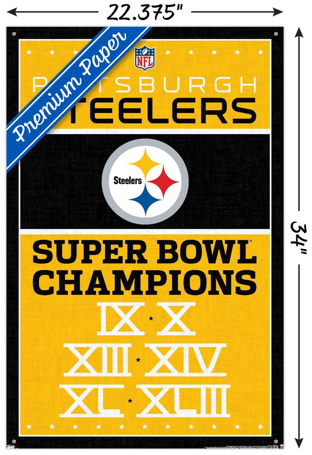 NFL Pittsburgh Steelers - Champions 13