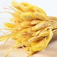 thumbnail image 3 of Coofit Dry Flower Branch DIY 24PCS Simple Natural Dried Grass Stem Dry Grass Decor, 3 of 8