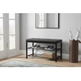 thumbnail image 2 of Nola Home 2-Tier Shor Rack Bench with Padded Seta, Entryway Shoe Organizer for 6 Pairs, Metal Frame, Compact Storage for Hallway, Closet, Mudroom, Black, 2 of 6