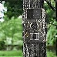 thumbnail image 3 of 32GB Wildlife Trail Camera 1080P Game Night Vision Outdoor Motion Hunting Cam, 3 of 5