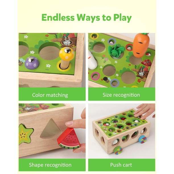 Forme de tri Jouet en Bois à partir de 1 an, Jouets sensoriels Montessori, motricité Fine Jeux
