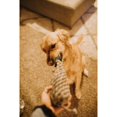 thumbnail image 4 of Outback Jack Krinkles Eco-Friendly Natural Pheasant Rope Dog Toy, 4 of 5