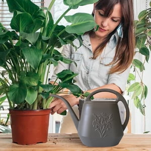 TopLLC Abreuvement de canettes Abreuvoir de can 1 Gallon Long Spout Arrosage Can Flower Patterns Indoor Watering Can avec poignée Plastic Watering can pour jardin Plantes arrosage can