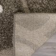 thumbnail image 2 of SAFAVIEH Florida Teodor Floral Shag Area Rug, 2 of 7